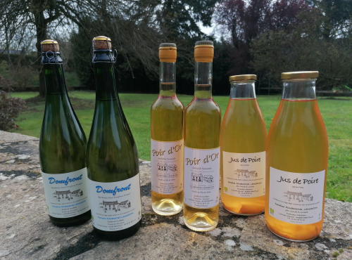 Domaine Fourmond Lemorton - 100% Poire : Poiré Domfront, Jus de Poire et Apéritif  x6