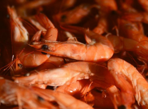 Thalassa Tradition - Crevettes roses 30/50 1kg