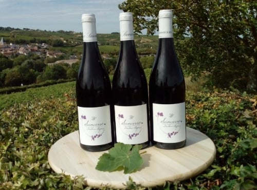 Domaine Doudeau-Leger - Sancerre Rouge AOC 2023 - 3 Bouteilles