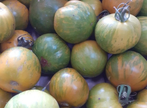 Multiproductions - Cédric Joliveau - Tomate Ronde Green Zebra 1kg