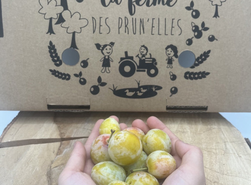 La Ferme des Prun'Elles - Mirabelles origine Lorraine - 5 kg