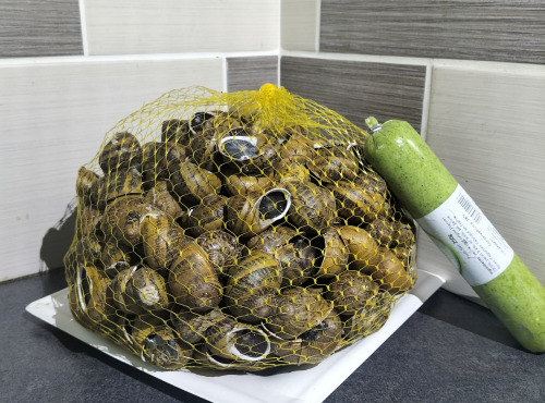 Le Paradis d'Escargot - ESCARGOTS GROS GRIS VIF