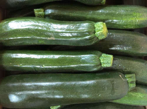 Maison Quéméner - Courgette 2kg