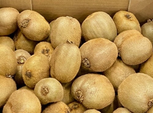 L'OLIVERAIE DU COUDON - KIWI VERT  3KG    CATEGORIE 2    ###  IL SONT DE RETOUR ####