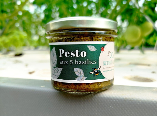 Nature et Saveurs - Ferme Aquaponique et Permacole Astérienne - Pesto aux 5 Basilics – Une explosion aromatique unique