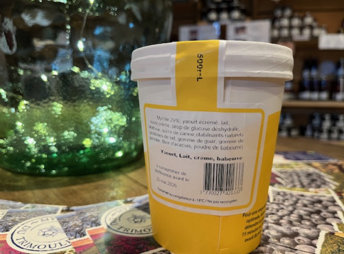 Myrtilles du Trimoulet - Glace Fermière Myrtille - Pot 500 mL