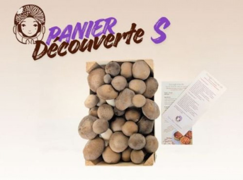 Les Myconautes - Panier Myconautes champignons bio - Taille S