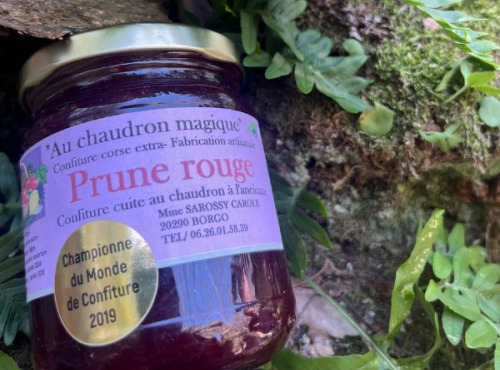 Terroirs de Corse - Confiture Prune rouge Corse