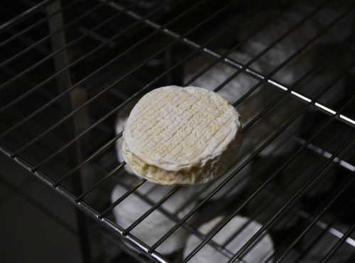Alléosse Maitre Artisan Affineur Fromager - Saint Marcellin IGP moulé à la main au lait cru