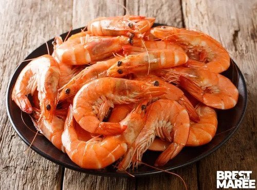 Brest Marée - Crevettes Roses cuites - 2kg