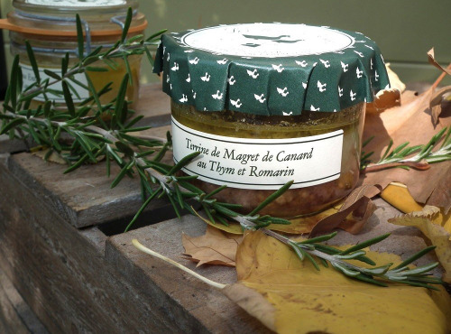 Les Moulins Aufiés - Terrine de magret de canard  au thym et au romarin 85g
