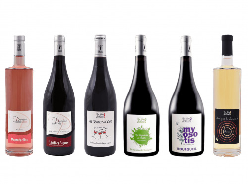 Domaine de la Perrée - AOC Saint-Nicolas-de-Bourgueil & Bourgueil - Coffret Découverte 6 bouteilles
