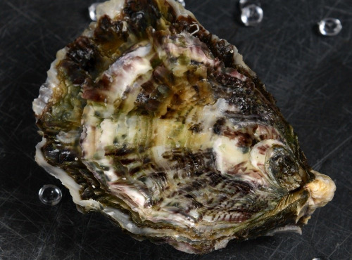 Camargue Coquillages - Huître N°000 - 1 kg