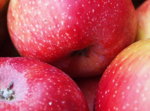 Mon Petit Producteur - Pomme Coop43 Bio - 1 Kg
