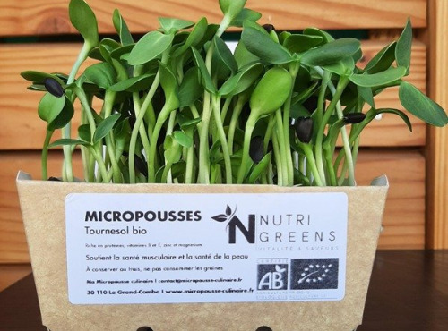 Ma Micropousse culinaire - Micro pousses de tournesol Bio 8 barquettes