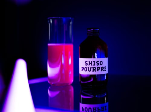 Vivant Kombucha - Kombucha Shiso Pourpre Bio x12