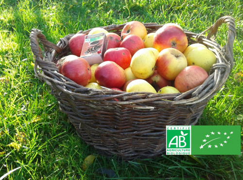 LES JARDINS DE KARINE - POMMES "visitées"-en mélange-5kg