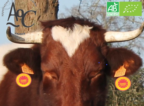 Domaine des Alliers -  Bœuf d'exception - Cœur de bœuf, AOC Maine-Anjou, BIO – 280 g  [SURGELÉ]