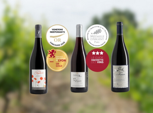 Domaine de la Chopinière du Roy - Coffret cadeau "A la découverte des vins rouges de Loire "- 3 x 75 cl