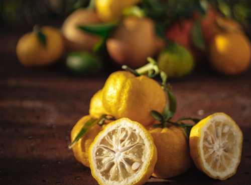 Maison Gannac - Yuzu 1kg