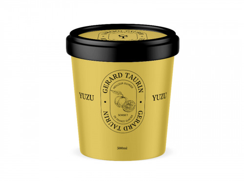 GT Designer Glacier - Sorbet Yuzu Japonais 500ml