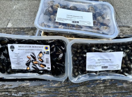 Saint Kerber - Cancale - Mix de la mer 3kgs - Moules STG/Palourdes/Bigorneaux