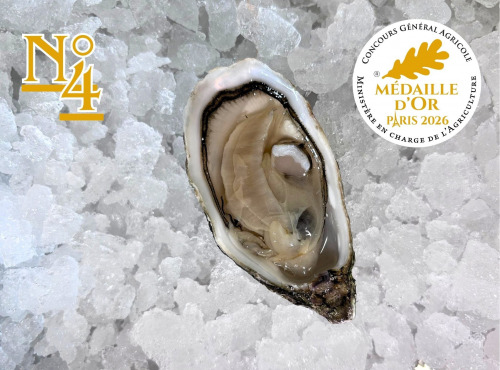 Le Termer - Huîtres de Normandie IGP N°4-96 Pièces "Saveurs de Normandie"