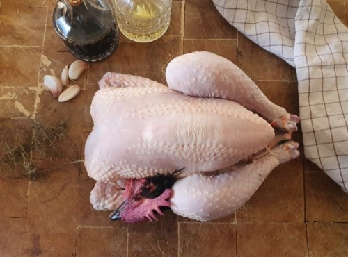 EARL Plumes et Laines - Poulet Fermier Pré-découpé - 1,8kg