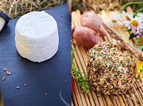 Chèvrerie de Ker Anna - Duo crottins de chèvre : frais + saveurs du jardin