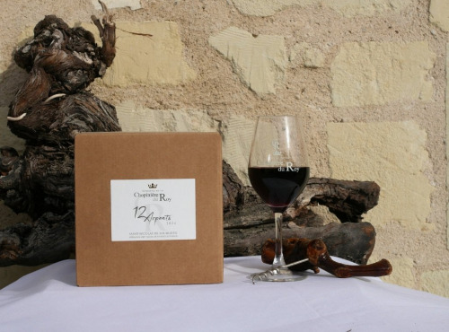 Domaine de la Chopinière du Roy - BIB de Vin Rouge Saint Nicolas de Bourgueil 2024 - 3 Litres