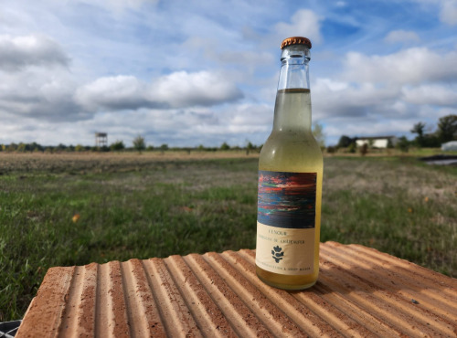 ChâteauFer - Kombucha fenouil 33cl