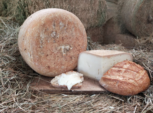 La ferme Lassalle - Fromage de Brebis AOP Ossau-Iraty Fermier de Printemps - le quart de 1kg - 6 mois