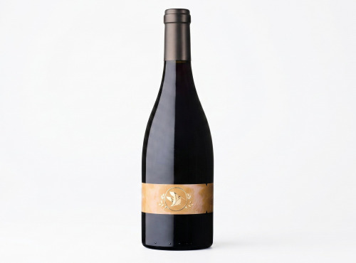 Domaine la Paganie - Vin élevé en Amphore ( LA TERRE ) x 1