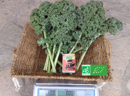 LES JARDINS DE KARINE - Chou Kale - Grandes feuilles - 500g