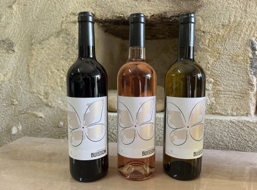 Domaine du Buisson - Lot de 3 bouteilles de Bordeaux : rouge, rosé et blanc