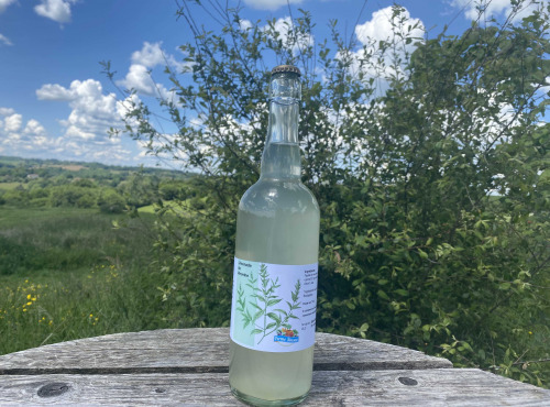 Ferme Sinsac - Pétillant de Verveine sans alcool