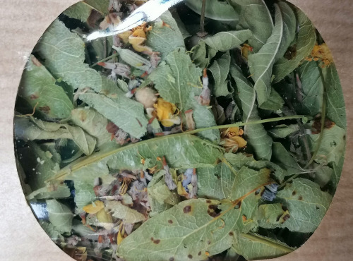 Les Jardins du Mas de Greil - Tilleul-verveine-lavande, Tisane Composée