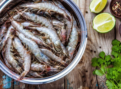 Agriloops - Gambas de Bretagne 1kg (calibre 30-50)