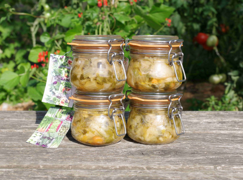 Le champ des Mêlés - Lot de 4 bocaux Kimchi bio lacto-fermentés de 250g