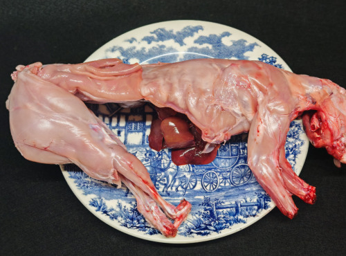 Boucherie Puig - Lapin entier 1,3kg