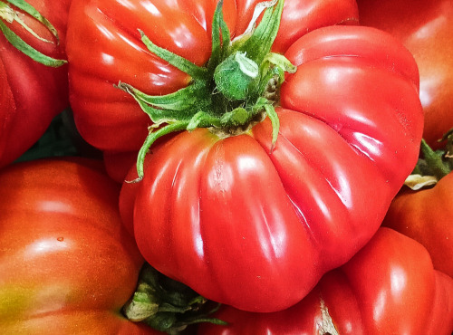 Ferme Joos - Tomates Coeur de boeuf