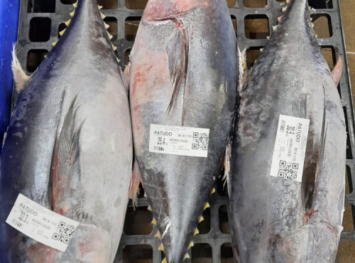 Poissonnerie La Piriacaise - Thon Patudo