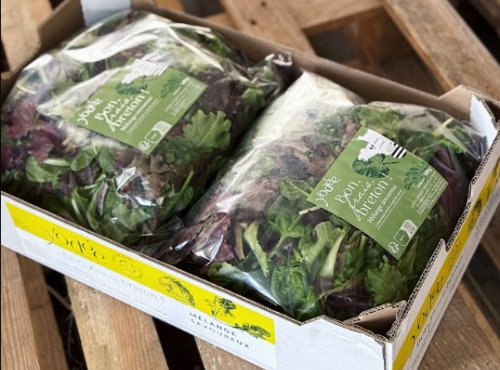 Agriloops - Mélange de jeunes pousses savoureux – 2 × 500 g