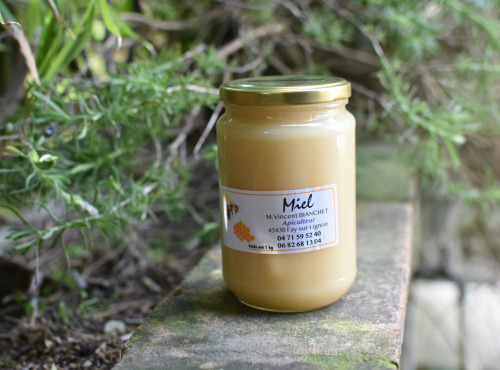 La Truite du Mézenc - Miel de Romarin - 1kg