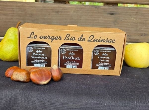 Le verger bio de Quinsac - Coffret 3 confitures BIO