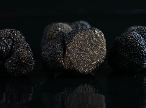 ALENA la Truffe d'Aquitaine - [Précommande] Truffe Noire Du Périgord Fraiche Tuber Melanosporum - 500g