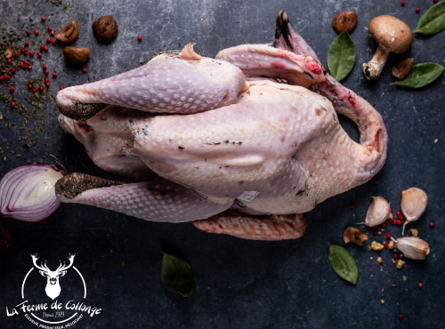LA FERME DE COLLONGE - DINDE NOIRE FERMIERE PRET A CUIRE