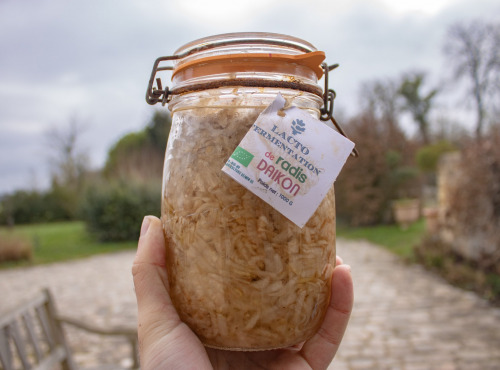 ChâteauFer - Lacto de radis daïkon 1kg