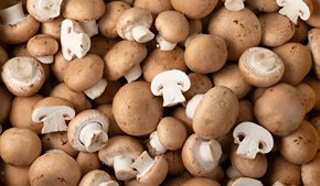 Les Jardins de Gérard - Champignon de Paris brun Bio - 250 g