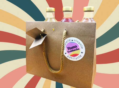 Mama Kombucha - Coffret Découverte - 3x70cl